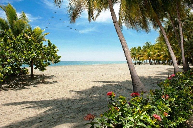 Hotel Irotama XXI Santa Marta Dış mekan fotoğraf